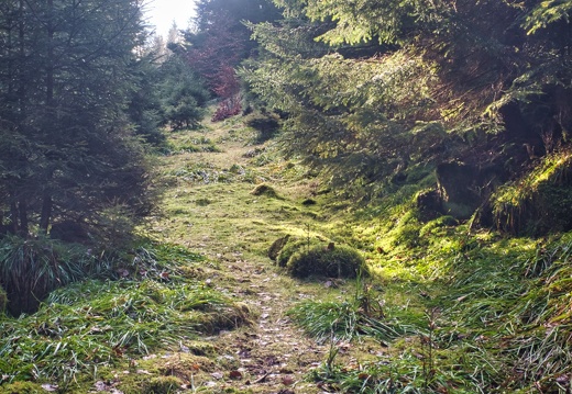 20220205202143-03f15f35